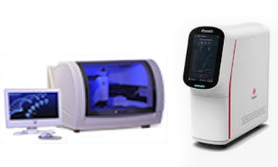 BIOPAJ_automate Covid