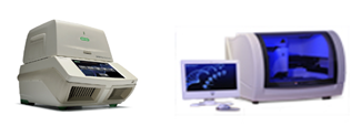 BIOPAJ_automate Covid