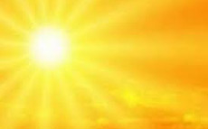 vigilance canicule